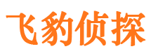 平舆市调查取证